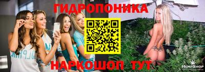 дмт Ливны