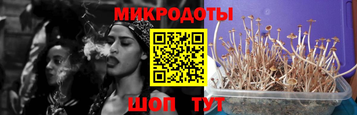 Старая Купавна  Галлюциногенные грибы ЛСД  Вход с VPN 